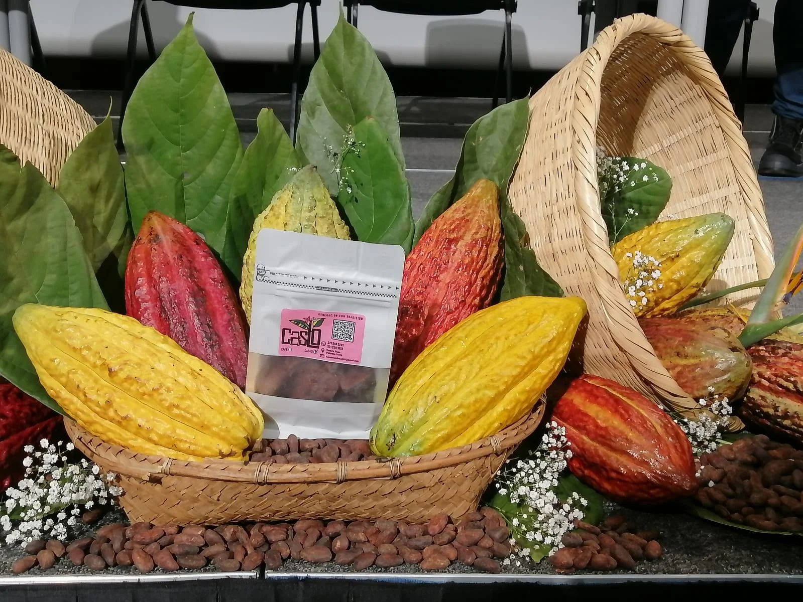 Productos CASLO junto a frutos de cacao